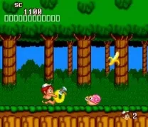 New Adventure Island (USA)