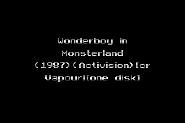 Wonderboy in Monsterland (1987)(Activision)[cr Vapour][one disk]
