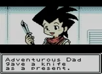 Survival Kids (USA)