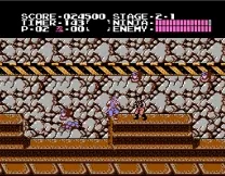 Ninja Gaiden (USA)