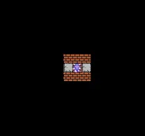 Dragon Warrior (USA)