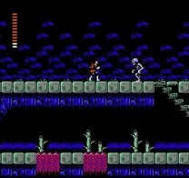 Castlevania II - Simon's Quest (USA)
