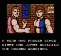Double Dragon III - The Sacred Stones (USA)