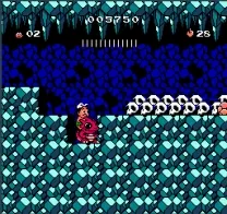 Hudson's Adventure Island III (USA)