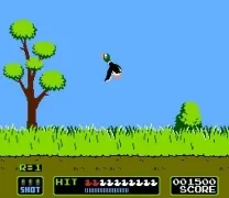 Duck Hunt (World)