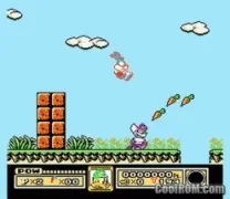 Tiny Toon Adventures (USA)