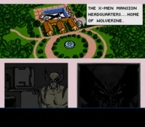 Wolverine - Adamantium Rage (Europe)