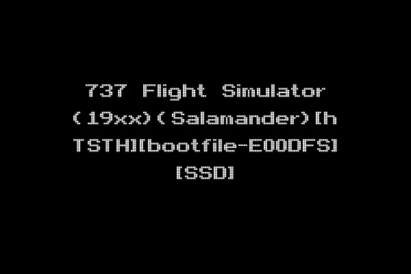 737 Flight Simulator (19xx)(Salamander)[h TSTH][bootfile-E00DFS] [SSD]