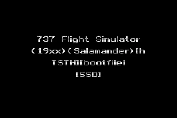 737 Flight Simulator (19xx)(Salamander)[h TSTH][bootfile] [SSD]