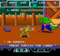 Teenage Mutant Ninja Turtles IV - Turtles in Time (USA)