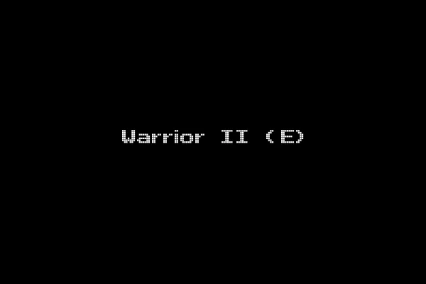 Warrior II (E)