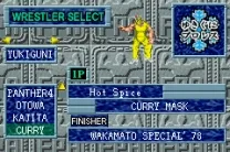 Fire Pro Wrestling (U)(Mode7)