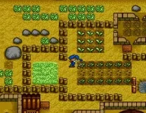 Harvest Moon (USA)