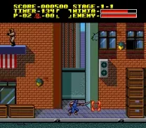 Ninja Ryuuken Den (Japan)