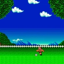 KickBall (Japan)