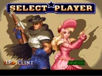 Wild Guns (USA)
