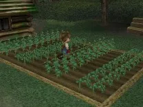 Harvest Moon - Another Wonderful Life