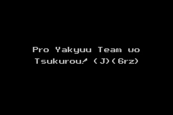 Pro Yakyuu Team wo Tsukurou! (J)(6rz)