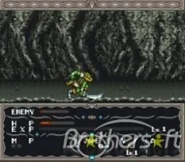Dragon View (USA)