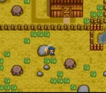 Harvest Moon (Germany)