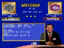 NHL Pro Hockey '94 (Japan)