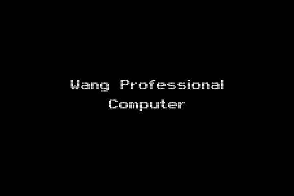 Wang Professional Computer