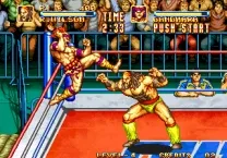 3 Count Bout / Fire Suplex