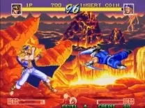 World Heroes Perfect