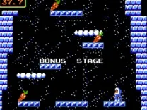Ice Climber (Japan)