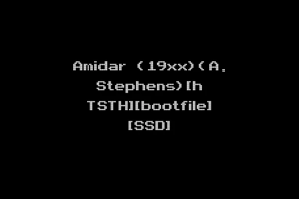 Amidar (19xx)(A. Stephens)[h TSTH][bootfile] [SSD]