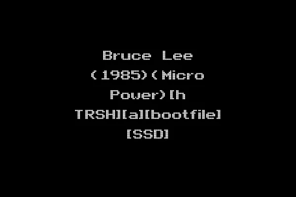 Bruce Lee (1985)(Micro Power)[h TRSH][a][bootfile] [SSD]
