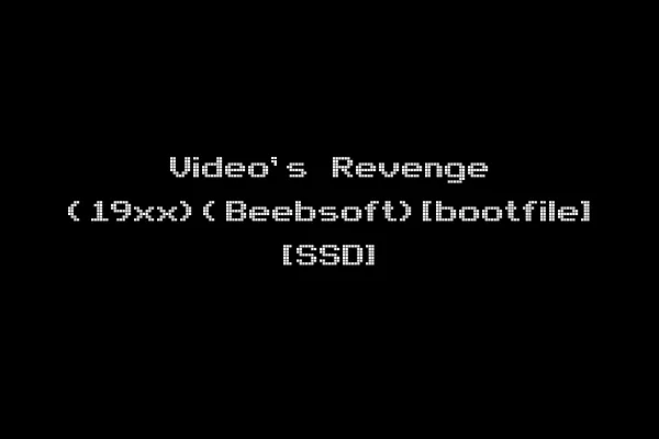 Video's Revenge (19xx)(Beebsoft)[bootfile] [SSD]