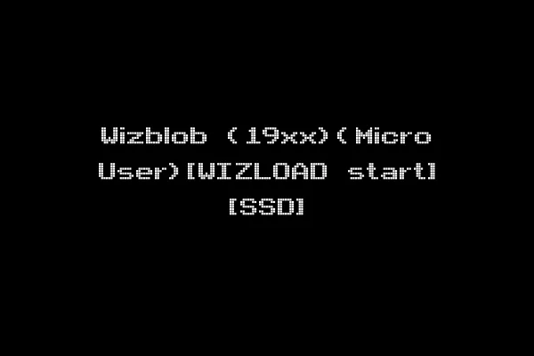 Wizblob (19xx)(Micro User)[WIZLOAD start] [SSD]