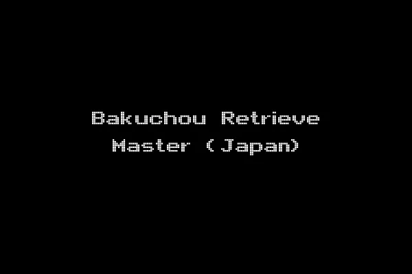 Bakuchou Retrieve Master (Japan)