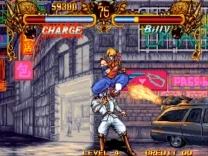 Double Dragon