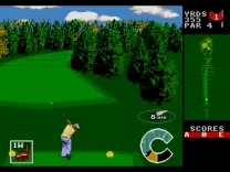 World Class Leaderboard Golf (USA)