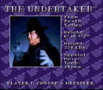 WWF Royal Rumble (USA)