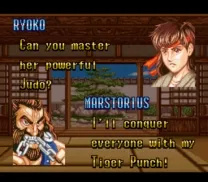 Fighter's History (Japan)
