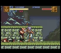 Battle Zeque Den (Japan)