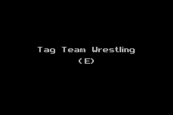 Tag Team Wrestling (E)