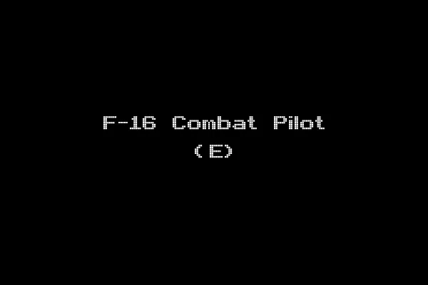 F-16 Combat Pilot (E)