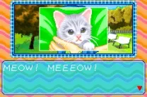 Catz (U)(Rising Sun)
