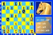 Chessmaster (F)(Patience)