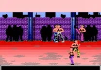 Pit Fighter