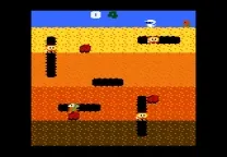 Dig Dug
