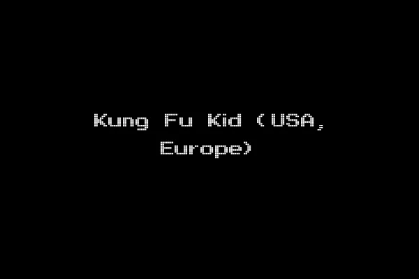 Kung Fu Kid (USA, Europe)