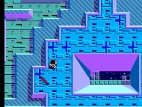 Maze Hunter 3-D (USA, Europe)
