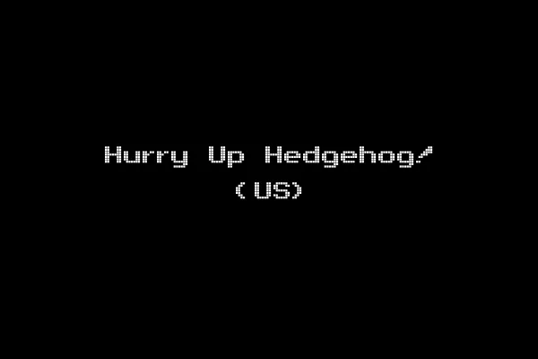 Hurry Up Hedgehog! (US)