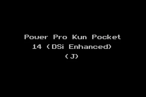 Power Pro Kun Pocket 14 (DSi Enhanced) (J)