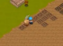 Harvest Moon 64 (USA)